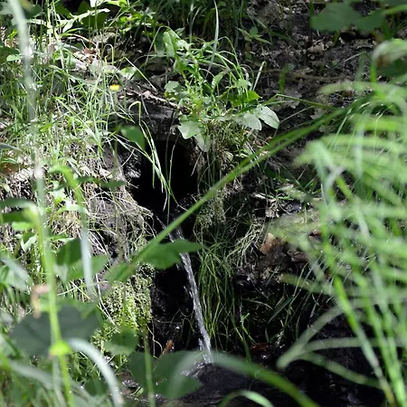 Zum Baeren * Luebbinchen