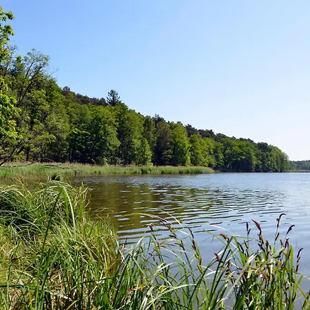 Zum Baeren Apartment *