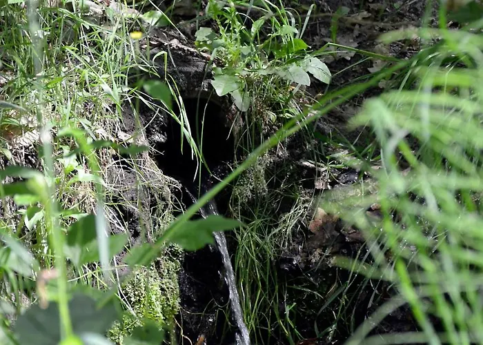 Zum Baeren * Luebbinchen