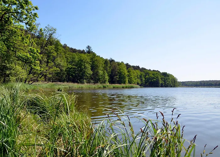 Zum Baeren Apartman *